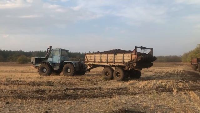 Благодарность за помощь смотреть онлайн