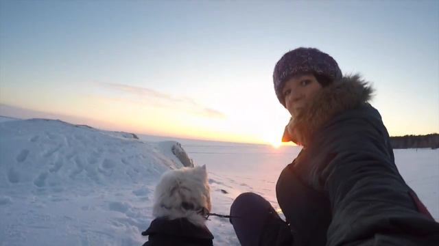 Vlog: ходим бродим по Новосибирску смотреть онлайн