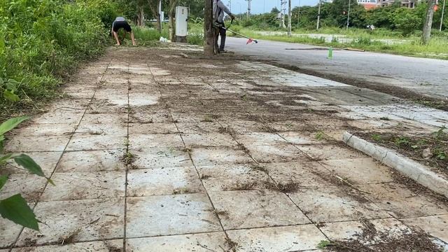 Help ! Mowing The Overgrown Grass In The Abandoned Old Town | Clean And Mow The Overgrown Weeds