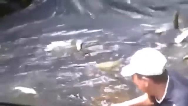 Необычная рыбалка.An unusual fishing. смотреть онлайн