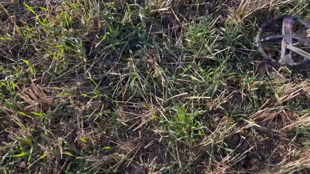 Field Of Dreams Amazing Finds Metal Detecting Uk XP Deus 2 & Minelab Vanquish 540 #XPDEUSII смотреть онлайн