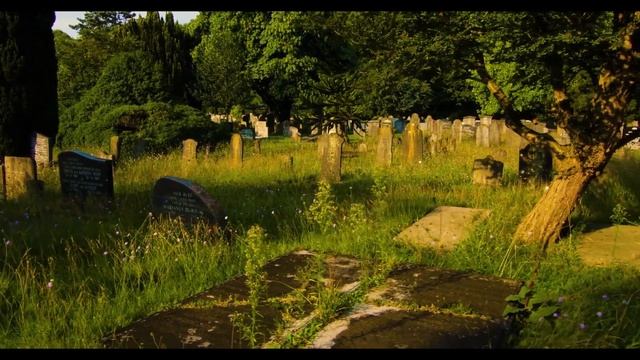 Interview with The Stranger Beyond the Gate смотреть онлайн