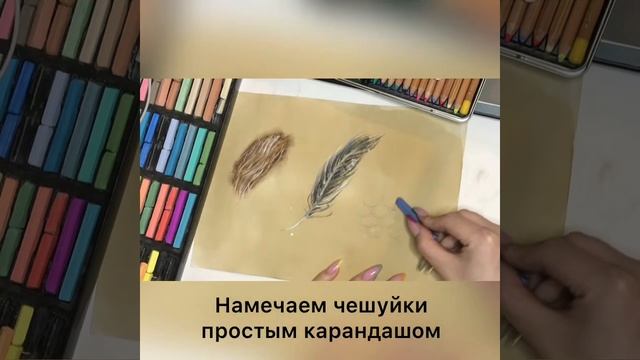 Основы изобразительной грамоты и рисование. Техника работы пастелью смотреть онлайн
