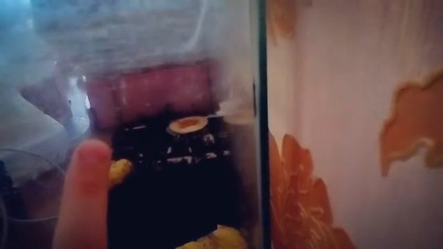 🐚🐌Мои улитки ахатины🐌 смотреть онлайн