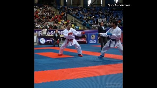 The best techniques of KARATE (Kumite) | WKF смотреть онлайн