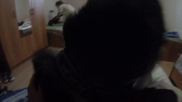 Путешествие с собакой на море | Какие трудности вас ждут | С Хаски в теплые края смотреть онлайн