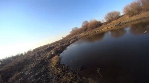 Рыбалка Кастинговой Сетью! на болотах и озёрах!