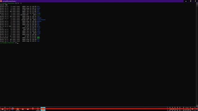 Linux для начинающих. Урок 2, Структура файловой системы, назначение основных папок (что где лежит?