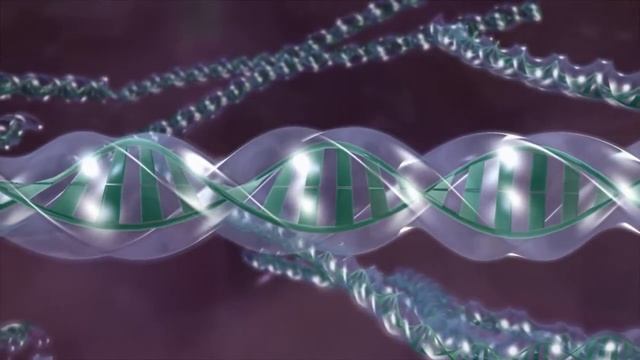 Сыворотка GeneXC™ is clinical смотреть онлайн