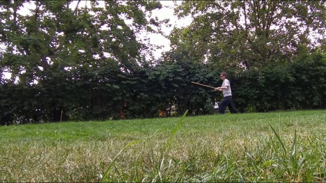 wudang short pole (short staff) [wip] смотреть онлайн