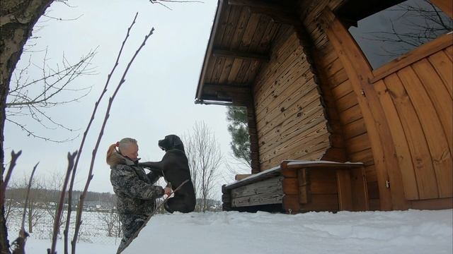 Необычная щётка для шерсти Испытания и краткий обзор смотреть онлайн