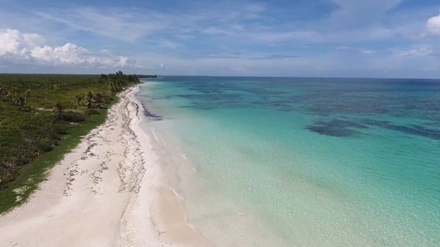 Moaraeli (Cold Waves) - Moaraeli & Moaraeli смотреть онлайн