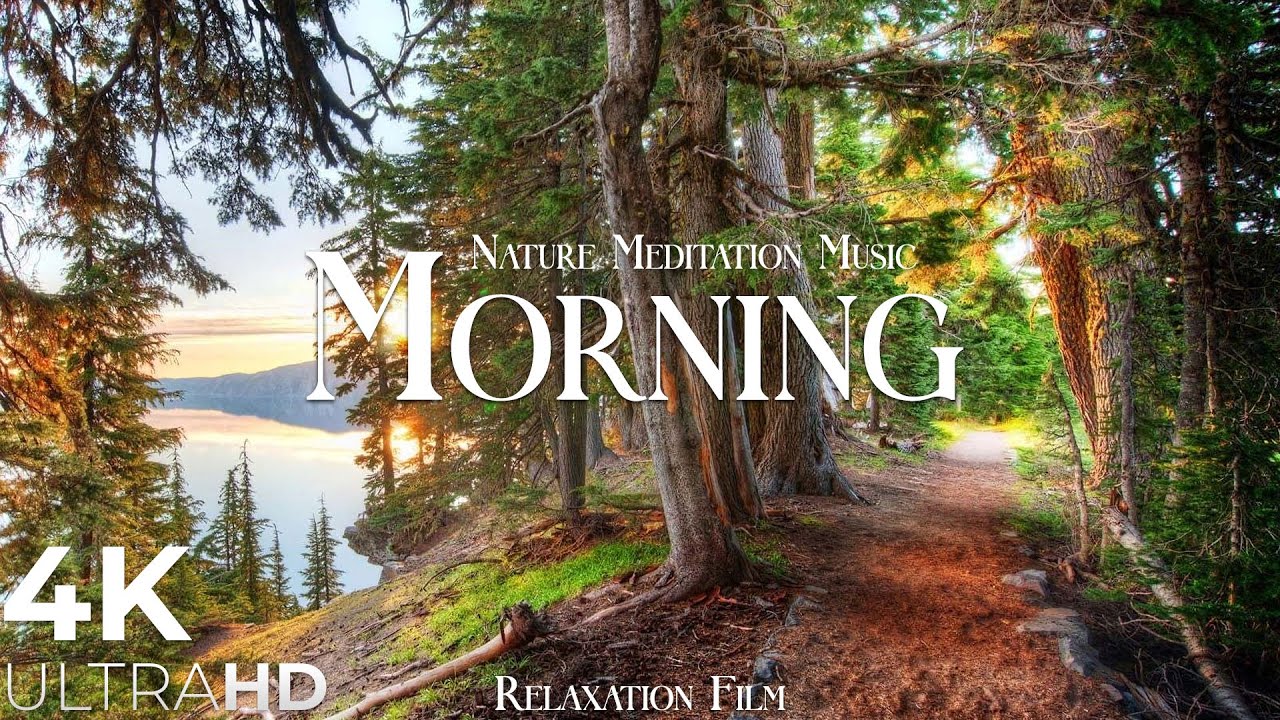 Nature Morning _ Meditation Relaxing Music _ Peaceful Relaxing Music _ 4K Relaxation Film