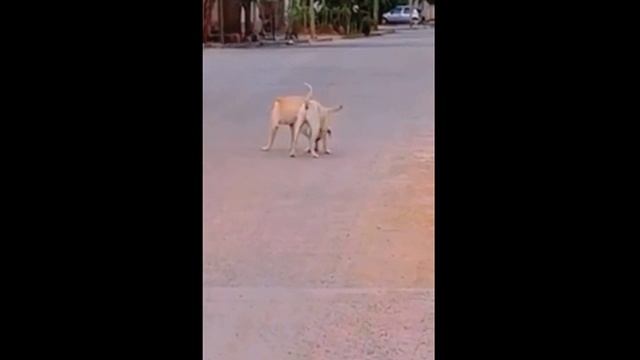 Немного перепутал ))) смотреть онлайн