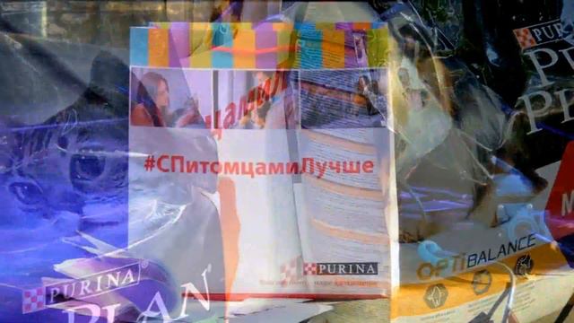 2017 - Дарящие надежду! Собаки, кошки и люди. Фестиваль Домой! Парк Красная Пресня. С питомцами! смотреть онлайн