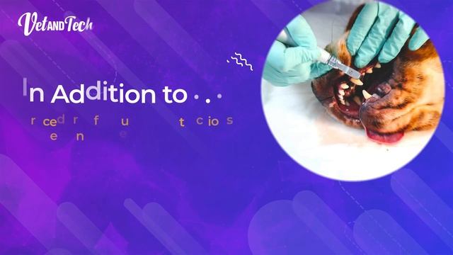 Calling all veterinarians! Dive into the world of "Gentle Dentistry At Its Best" with Ira Luskin. смотреть онлайн