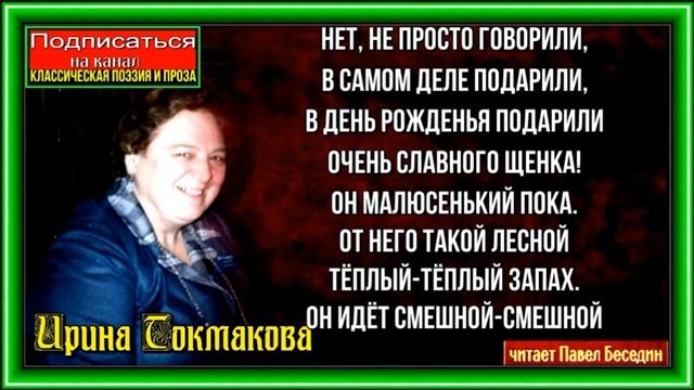 Подарили собаку ,Ирина Токмакова ,читает Павел Беседин смотреть онлайн