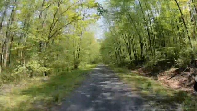 Schuylkill River Trail - Bartram Section смотреть онлайн