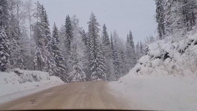 Дорога Архангельск - Пинега, окрестности Голубино смотреть онлайн