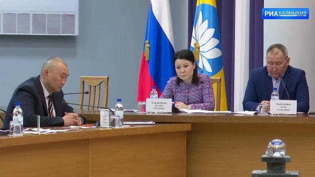 В Элисте состоялось заседание совета по делам инвалидов при Главе Калмыкии смотреть онлайн