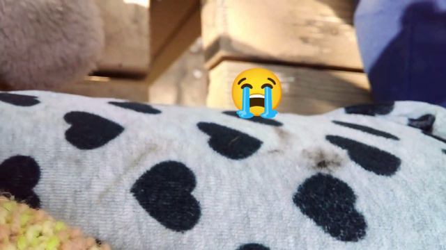 помогите найти😭 смотреть онлайн