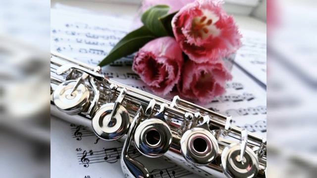 Song From a Secret Garden - flute Shahbazova Nushaba смотреть онлайн