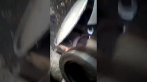 Корзина ЗИЛ 130 сцепление .