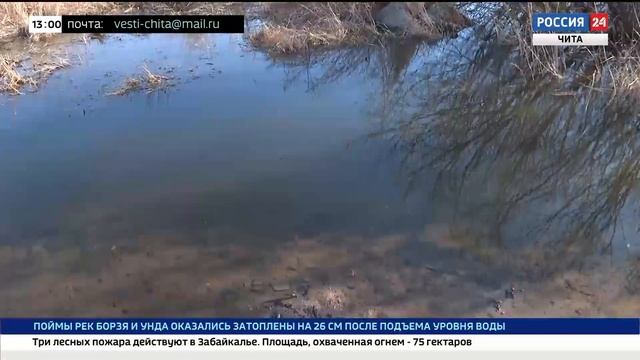 В Забайкалье реки вблизи нескольких населенных пунктов могут выйти на пойму смотреть онлайн