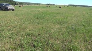 Теперь я ДАЧНИК!!! Покупка участка ИЖС!!! Начало дачной истории...