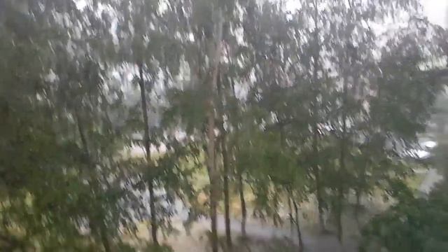 16 июня Калининград град смотреть онлайн