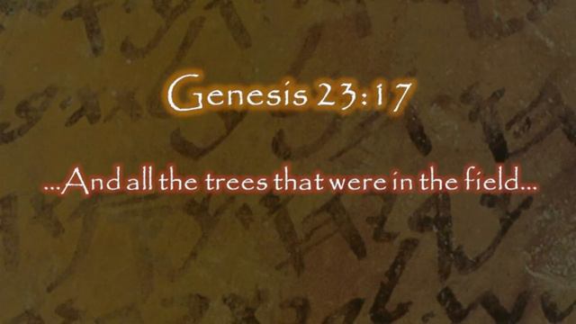 Constructio Ad Sensum (Part 2) смотреть онлайн