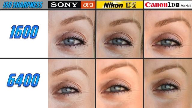 Sony A9 vs Canon 1Dxii vs Nikon D5 | Flagship Epic Shootout Review | Which Camera to Buy смотреть онлайн