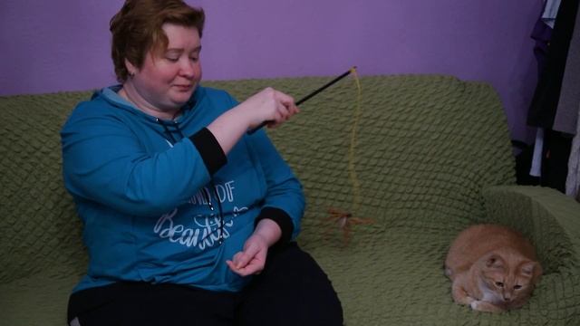 Как правильно играть с кошкой? смотреть онлайн