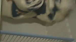 Одеяла. С каким наполнителем теплее?