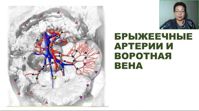 Марафон Здоровье Печени. Занятие 2 смотреть онлайн