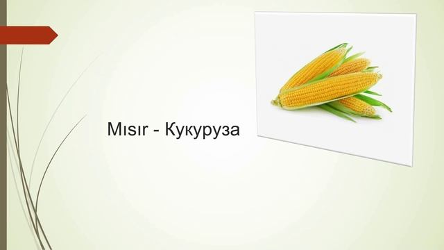 Урок 20. Овощи в Турецком языке.Учим новые слова,составим предложения,прочитаем и выучим Турецкий. смотреть онлайн