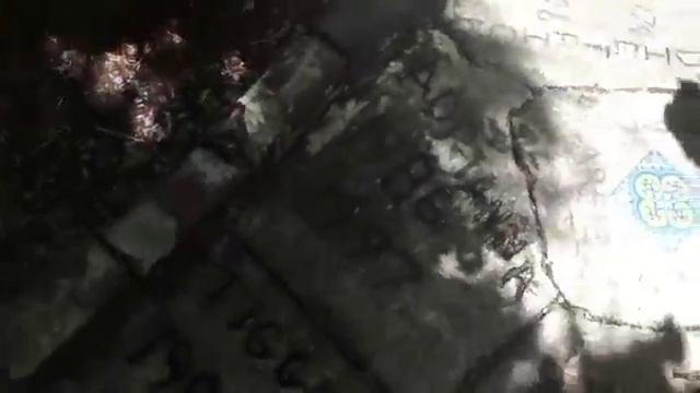 Все об Америке!!! Мемориальные доски бывших кошек Эрнеста Хемингуэя Key West смотреть онлайн