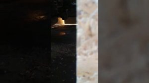 Даф 95 нет подачи воздуха на прицеп