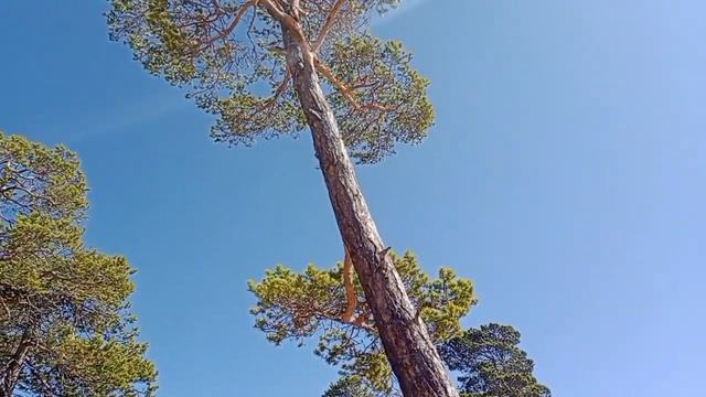 Кусочек Байкала. Озеро и климат холодные, но красивые ❤️❤️ смотреть онлайн