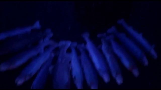 До встречи друзья ! смотреть онлайн