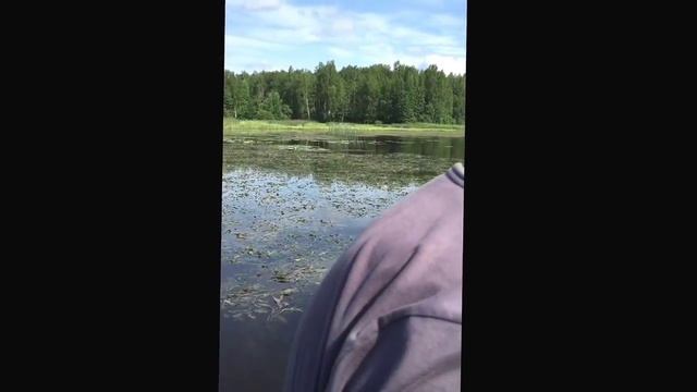 Рыбалка 21век (1) смотреть онлайн