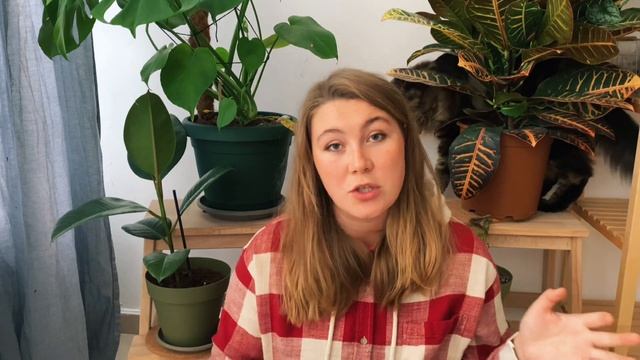 Вся жизнь в чемодане | Как собрать вещи при переезде смотреть онлайн