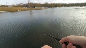 Слишком чувствительный спиннинг для джига! А оно вам надо? Major Craft Soul Stick