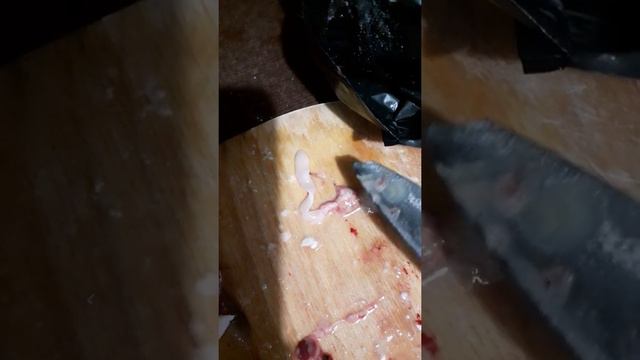 К коментарию, что я не разбираюсь в паразитах в рыбе и кальмарах. Вот ещё один товарищь) смотреть онлайн