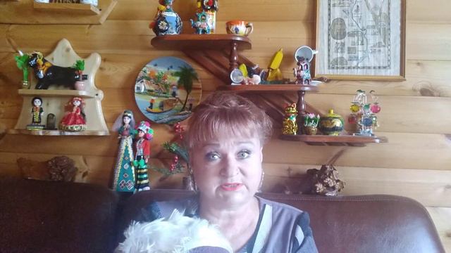 КАК К НАМ С ЖУЖЕЧКОЙ ПРИШЛА ИДЕЯ..СТАТЬ БЛОГЕРАМИ!!!! смотреть онлайн