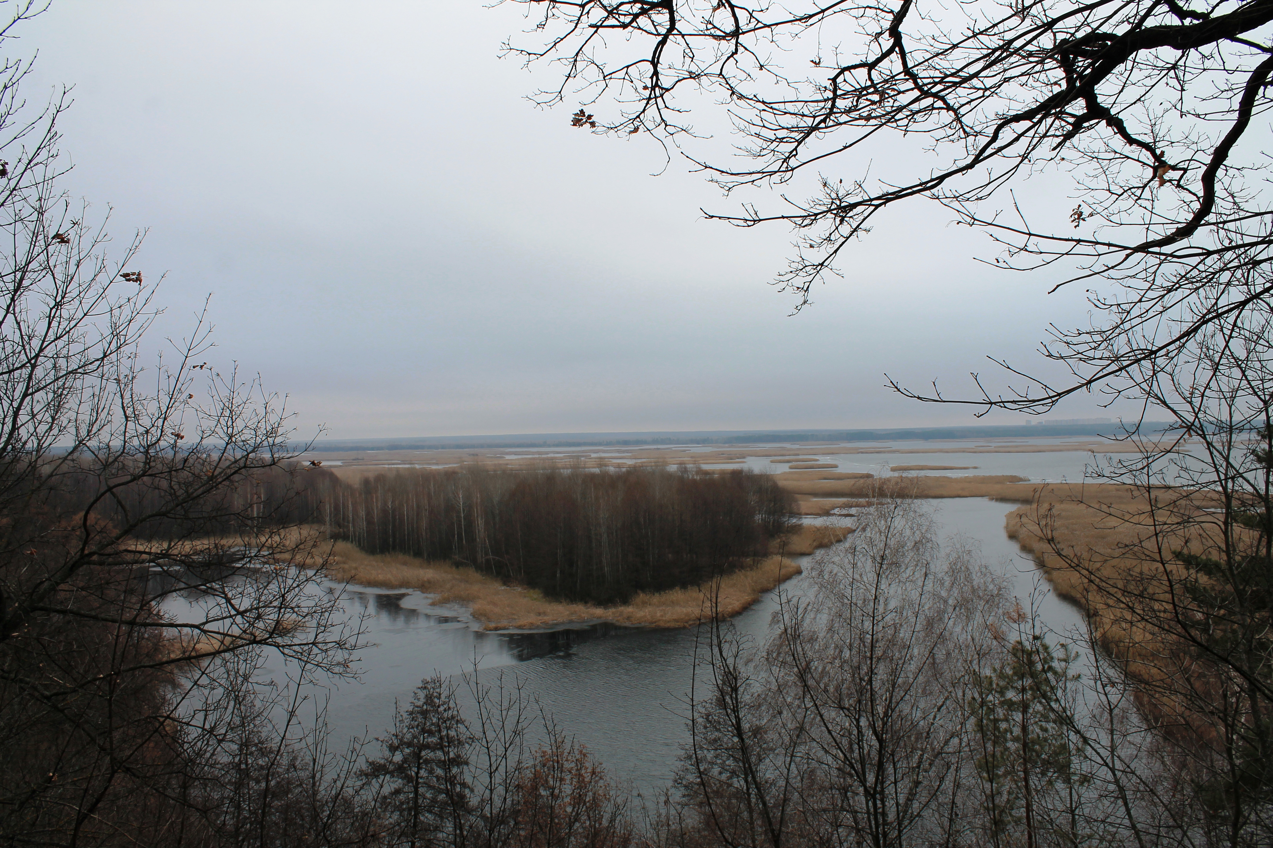 Экотропа г.Воронеж смотреть онлайн