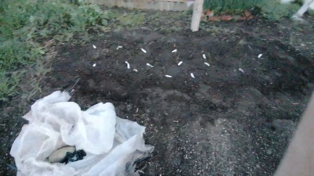 Дом на Юге. По ночам я работаю в огороде при свете луны. Переехали на Юг в Краснодарский край. смотреть онлайн
