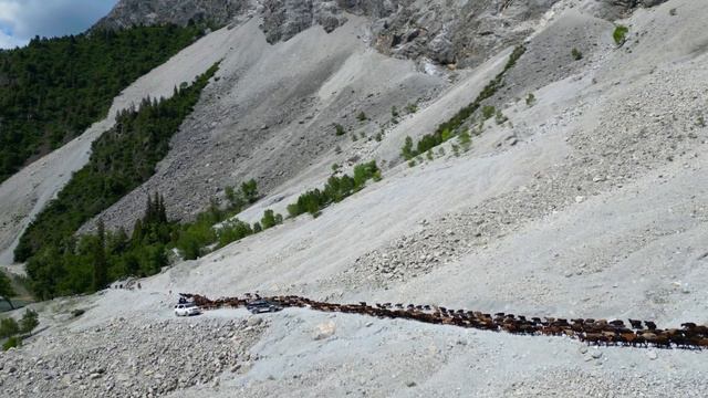 Койчунун ыры смотреть онлайн