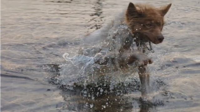 video по мотивам стихотворения Э Асадова 2013 смотреть онлайн