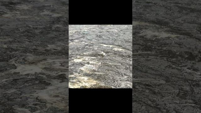 Лесная река смотреть онлайн